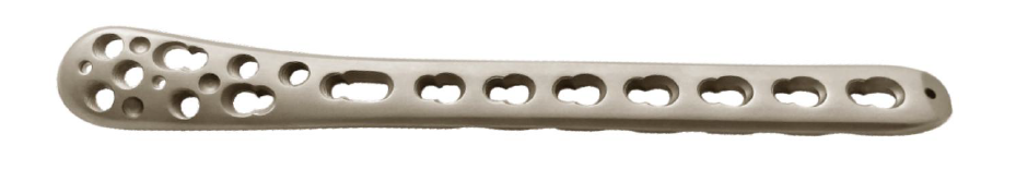 TIBIA